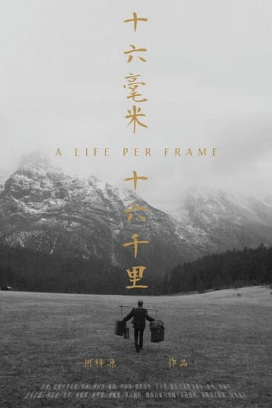 A life per frame poster