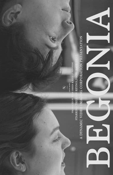 Begonia poster