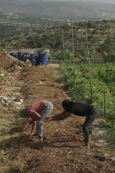 Untold Revolution: Food Sovereignty in Palestine poster