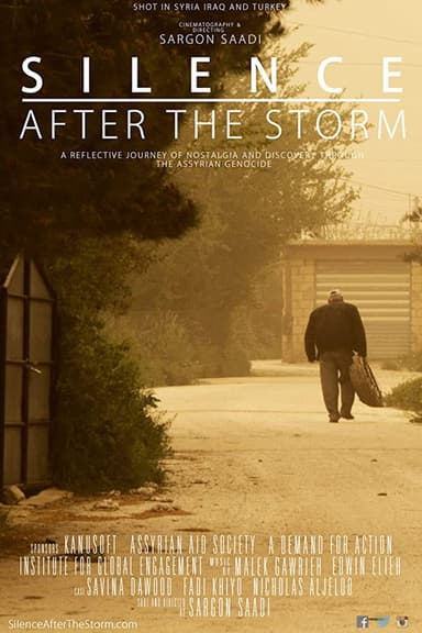 Silence After the Storm poster