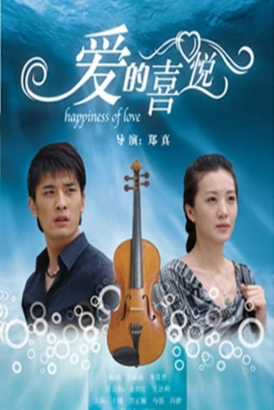 爱的喜悦 poster