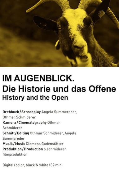 Im Augenblick. Die Historie und das Offene poster