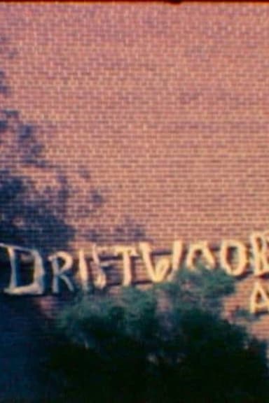 I Dream of Driftwood poster