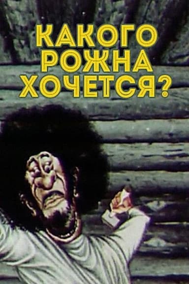 What the Hell Do You Want? poster