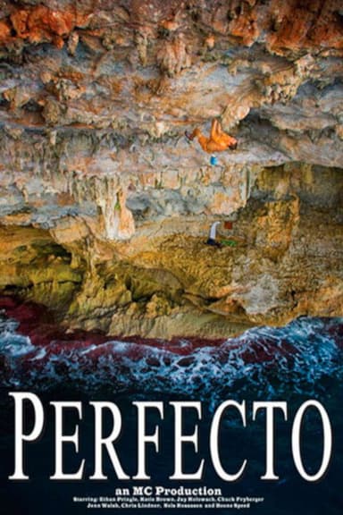 Perfecto poster