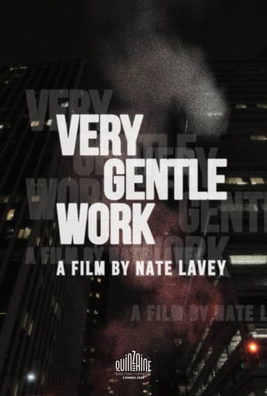 Very Gentle Work poster