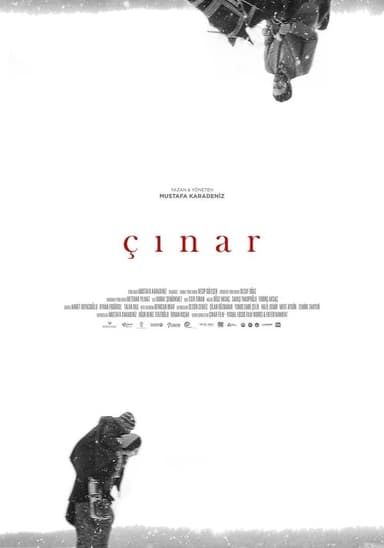 Plane Tree poster