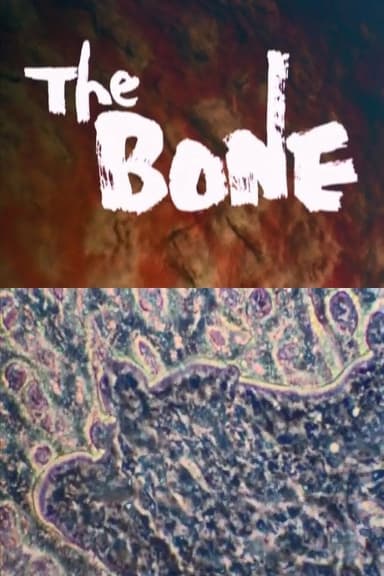 THE BONE poster