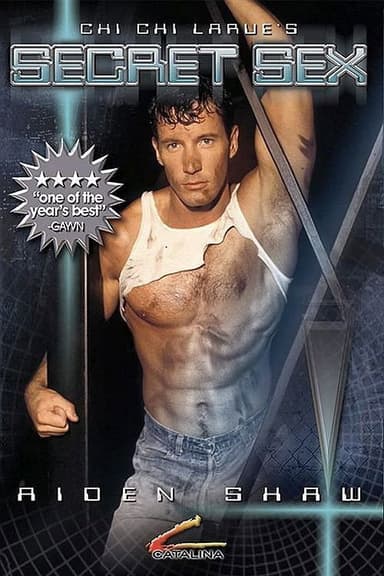 Secret Sex poster