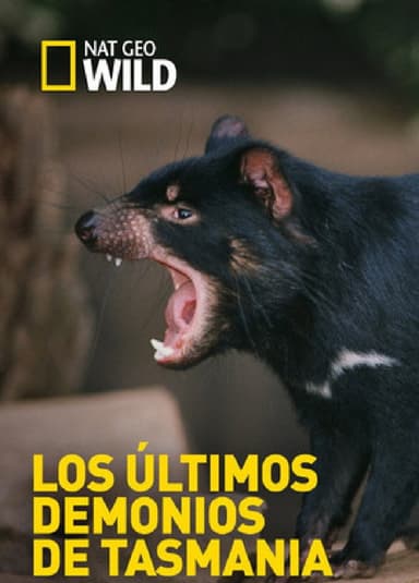 Los últimos demonios de Tasmania poster