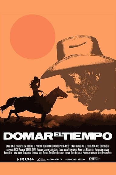 Domar el tiempo poster