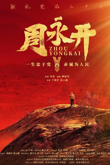 周永开 poster