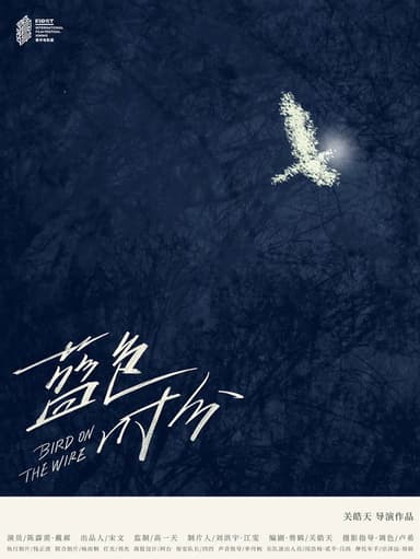 Bird on the Wire poster
