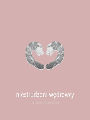 Niestrudzeni wędrowcy poster