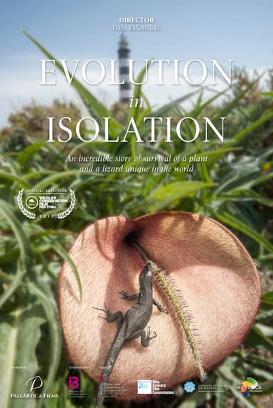 Nàufrags de l'evolució poster