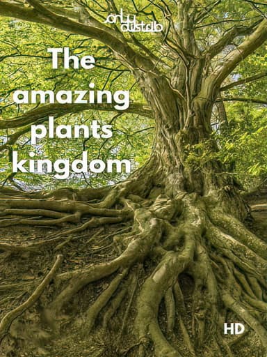 L'incroyable Royaume des Plantes poster
