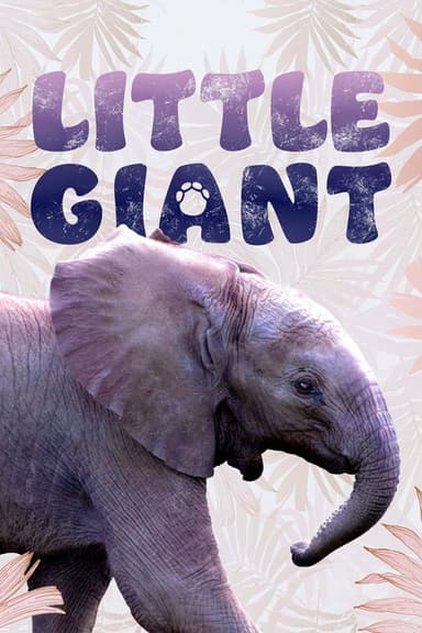 Little Giant poster