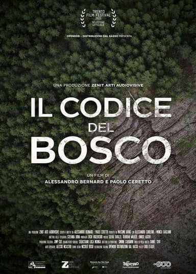 Il codice del bosco poster
