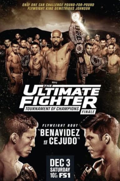 The Ultimate Fighter 24 Finale poster