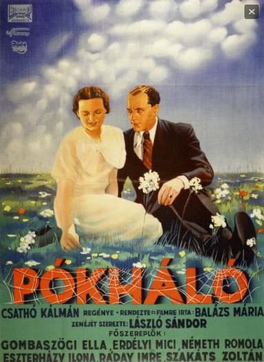 Cobweb poster