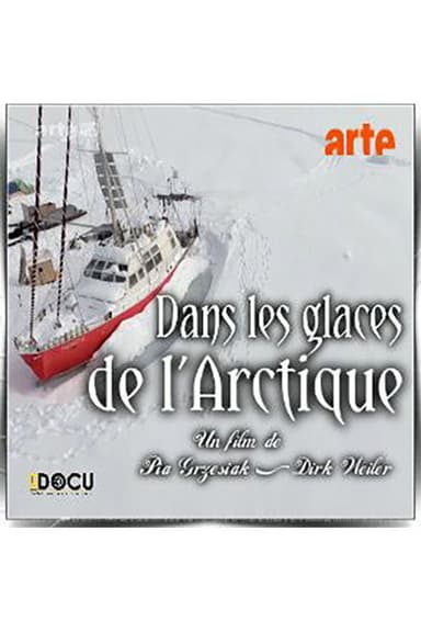 Dans les Glaces de l’Arctique poster