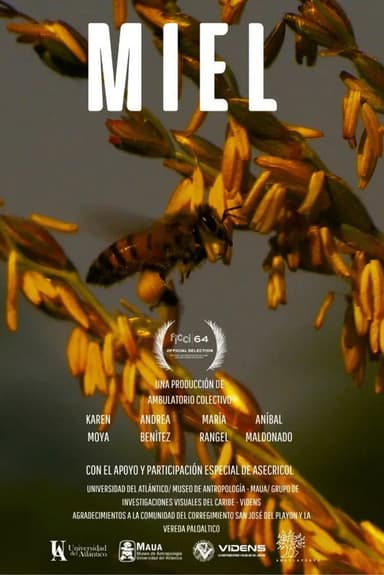Honey poster