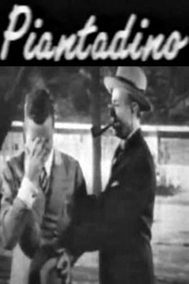 Piantadino poster