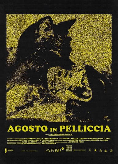 August in Fur poster