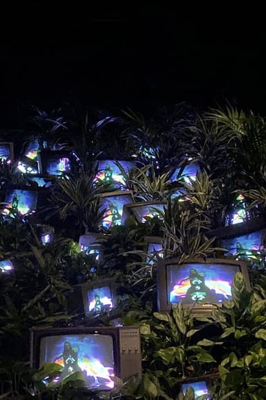 TV Garden poster