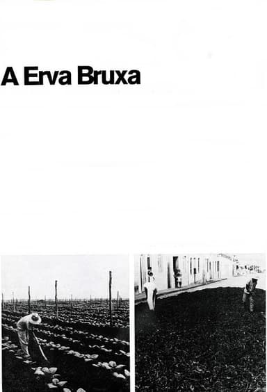 A Erva Bruxa poster