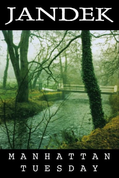 Jandek: Manhattan Tuesday poster