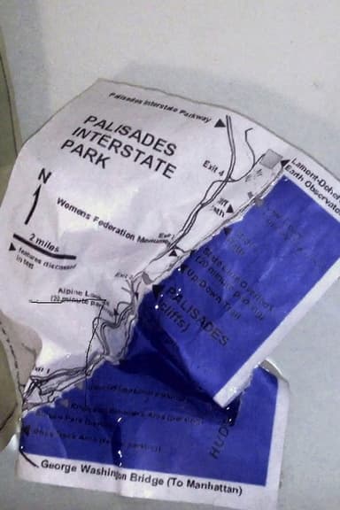 Palisades in Palisades poster