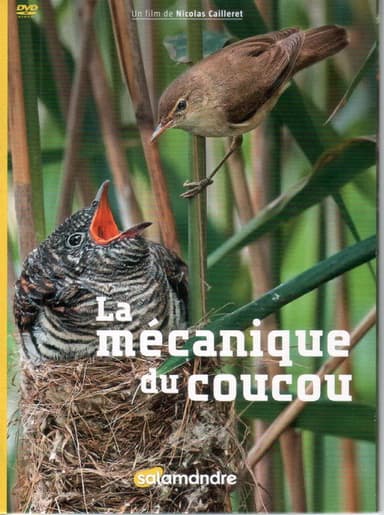 La Mécanique Du Coucou poster