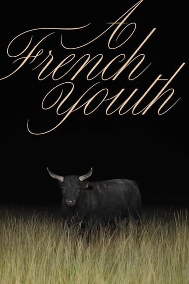 A French Youth poster