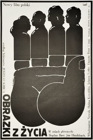 Pictures from Life poster
