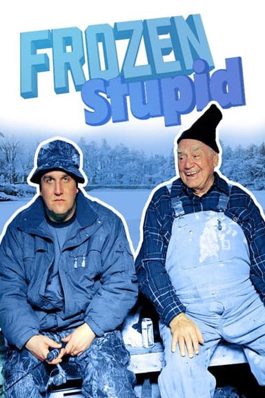 Frozen Stupid poster