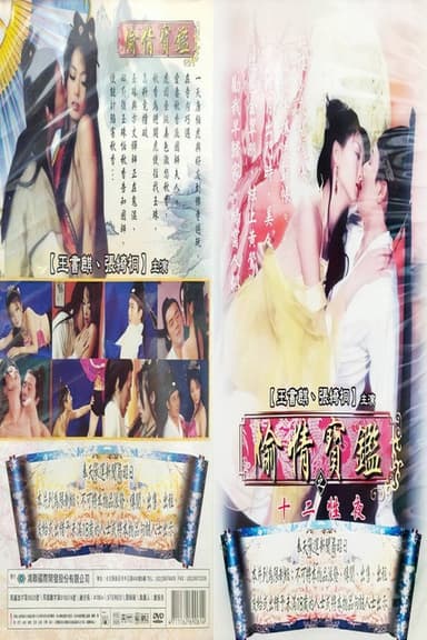 偷情宝鉴之十二性夜 poster
