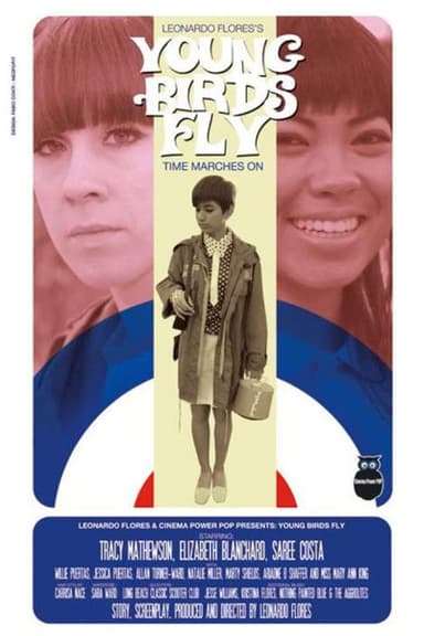 Young Birds Fly poster