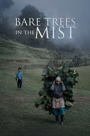 Bare Trees in the Mist poster