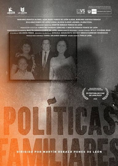 Family Politics poster