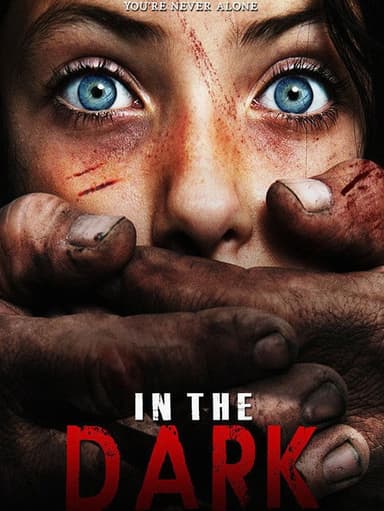In the Dark poster