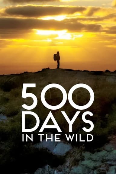 500 Days in the Wild poster