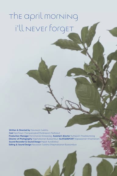 THE APRIL MORNING I'LL NEVER FORGET poster