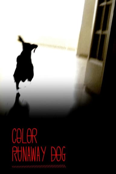 Color Runaway Dog poster