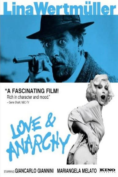 Love and Anarchy poster