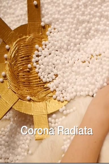 Corona Radiata poster