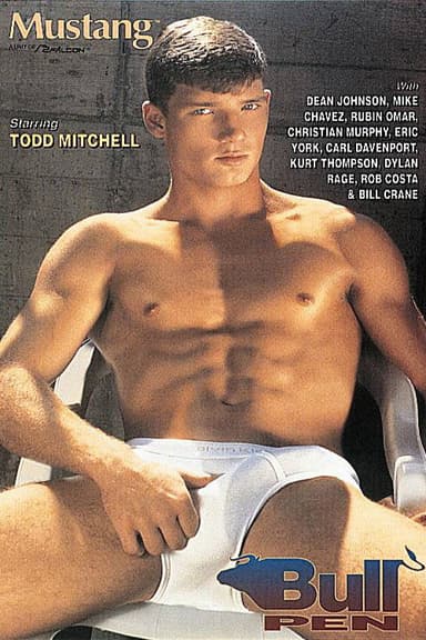 Bull Pen poster