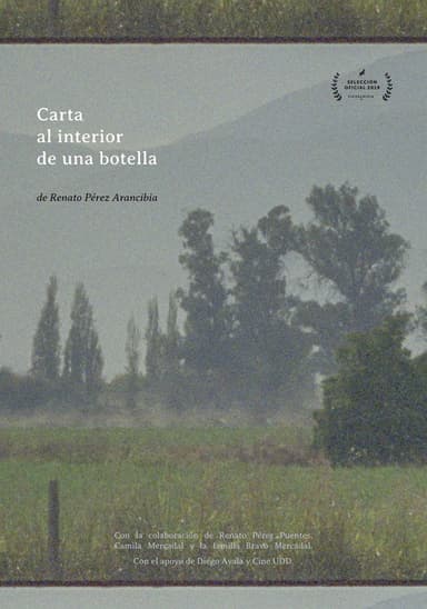 Carta al Interior de una botella poster