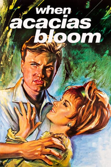When Acacias Bloom poster