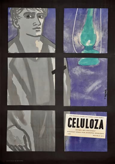 Cellulose poster